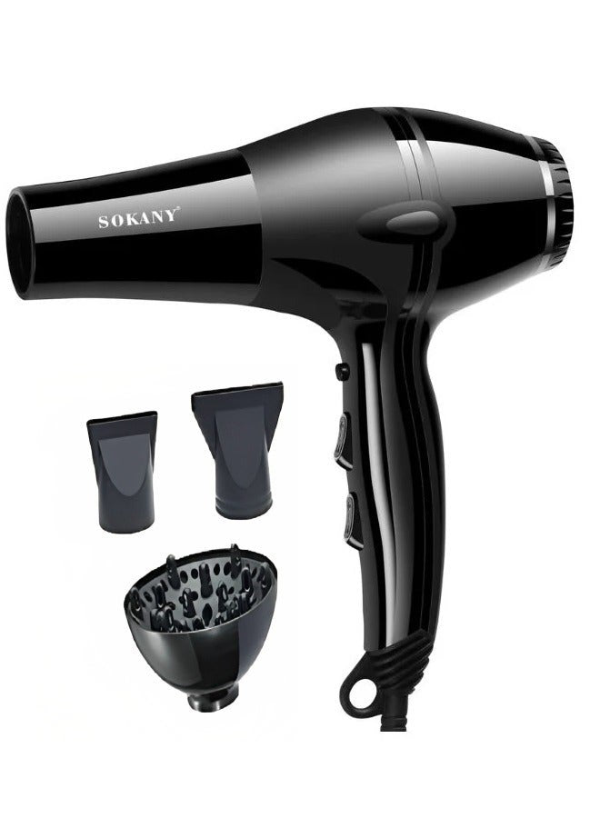 Professional Hair Dryer -3000W