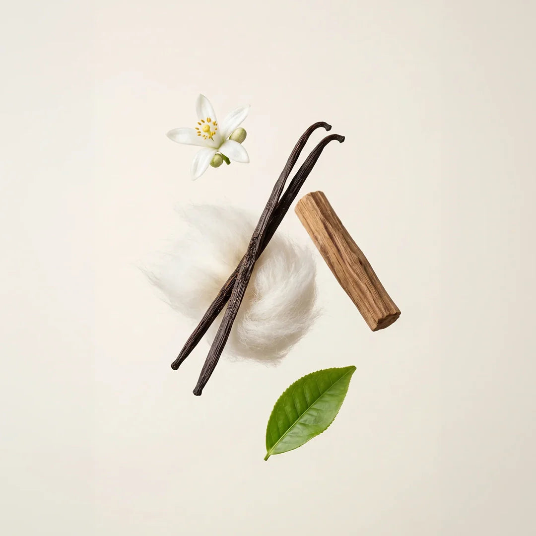 عطر دير مي