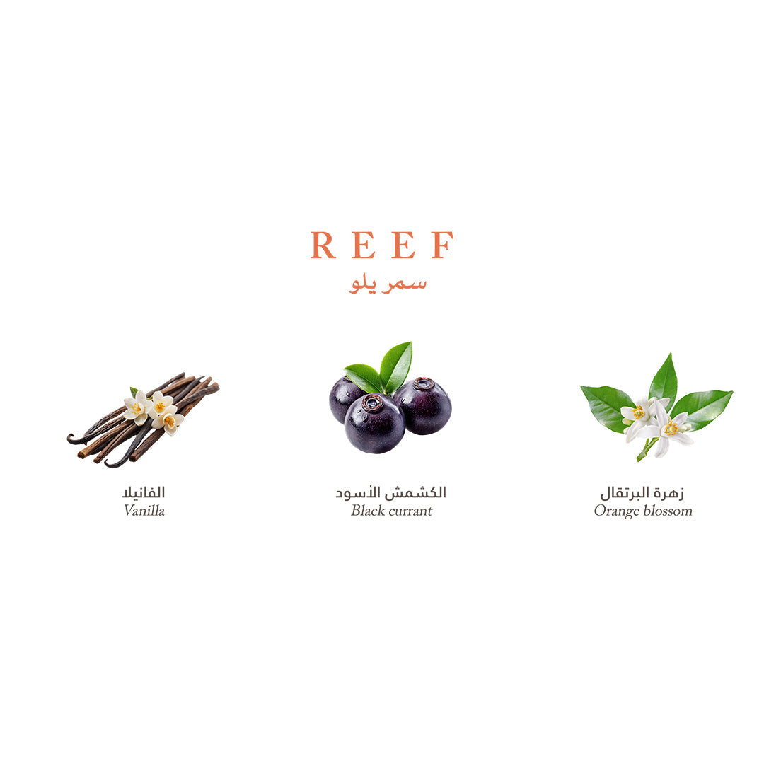 Reef Mini Collection - Elegance and Luxury in Your Pocket - 15ml