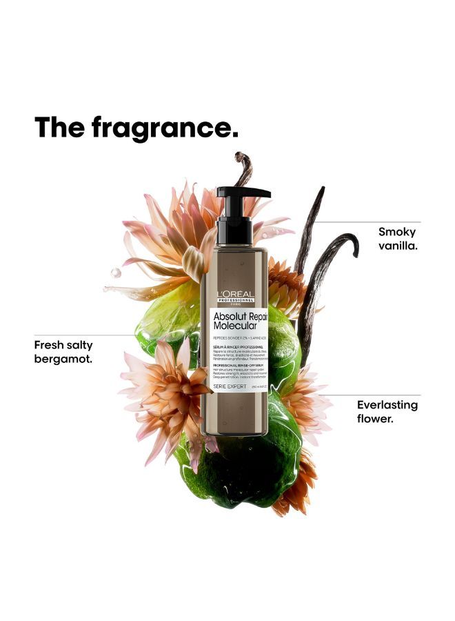 Absolut Repair Molecular Hair Rinse-Off Serum 250ml