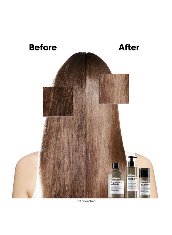 Absolut Repair Molecular Hair Rinse-Off Serum 250ml