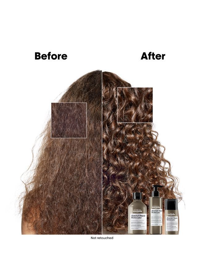 Absolut Repair Molecular Hair Rinse-Off Serum 250ml