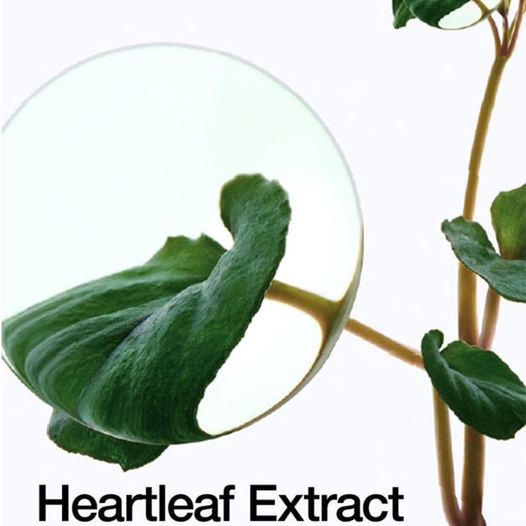 Anua Heartleaf Pore Control Cleansing Oil - 200ml