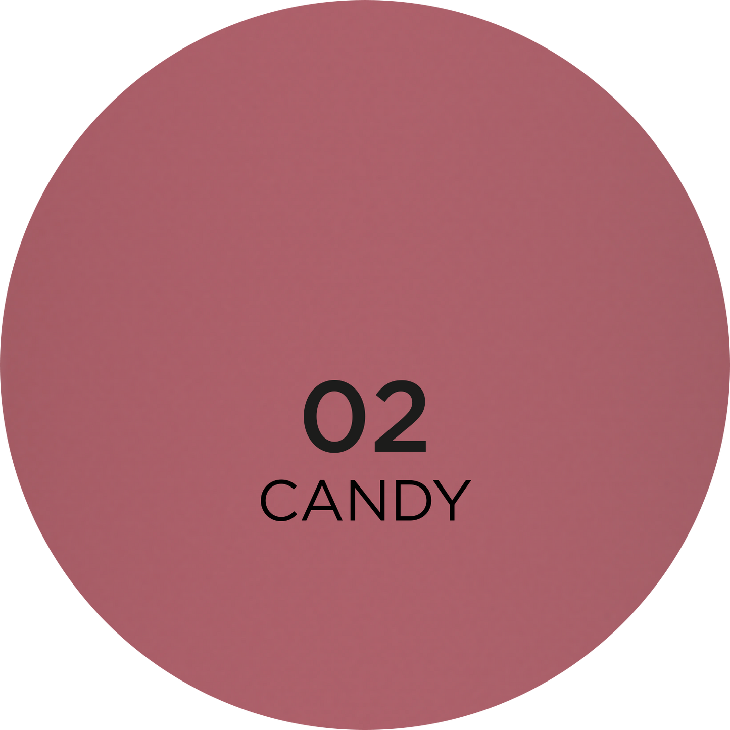 Eveline Cosmetics Wonder Match Liquid Matt Lipstick - 02 CANDY
