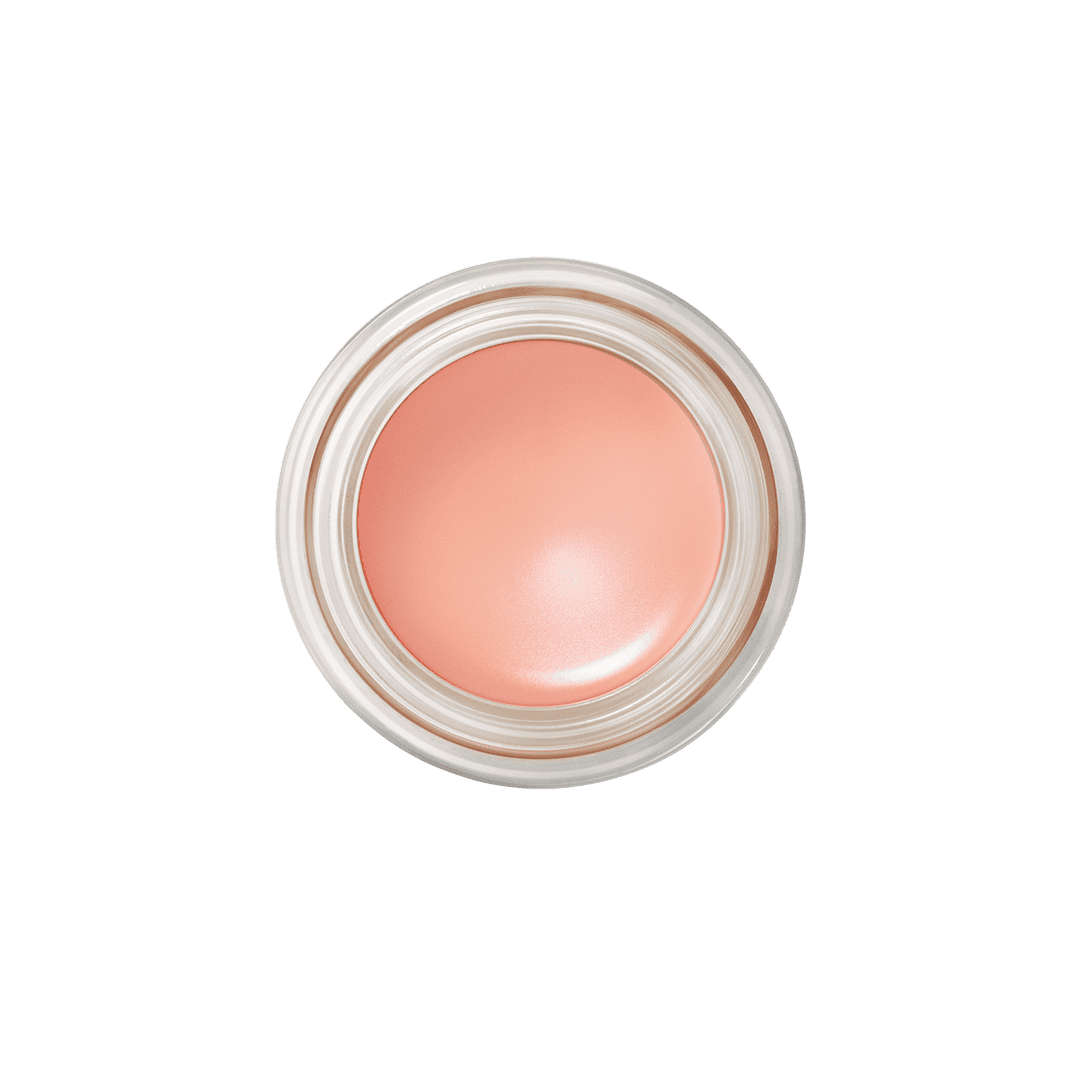 MAC Pro Longwear Paint Pot Peintures - Painterly