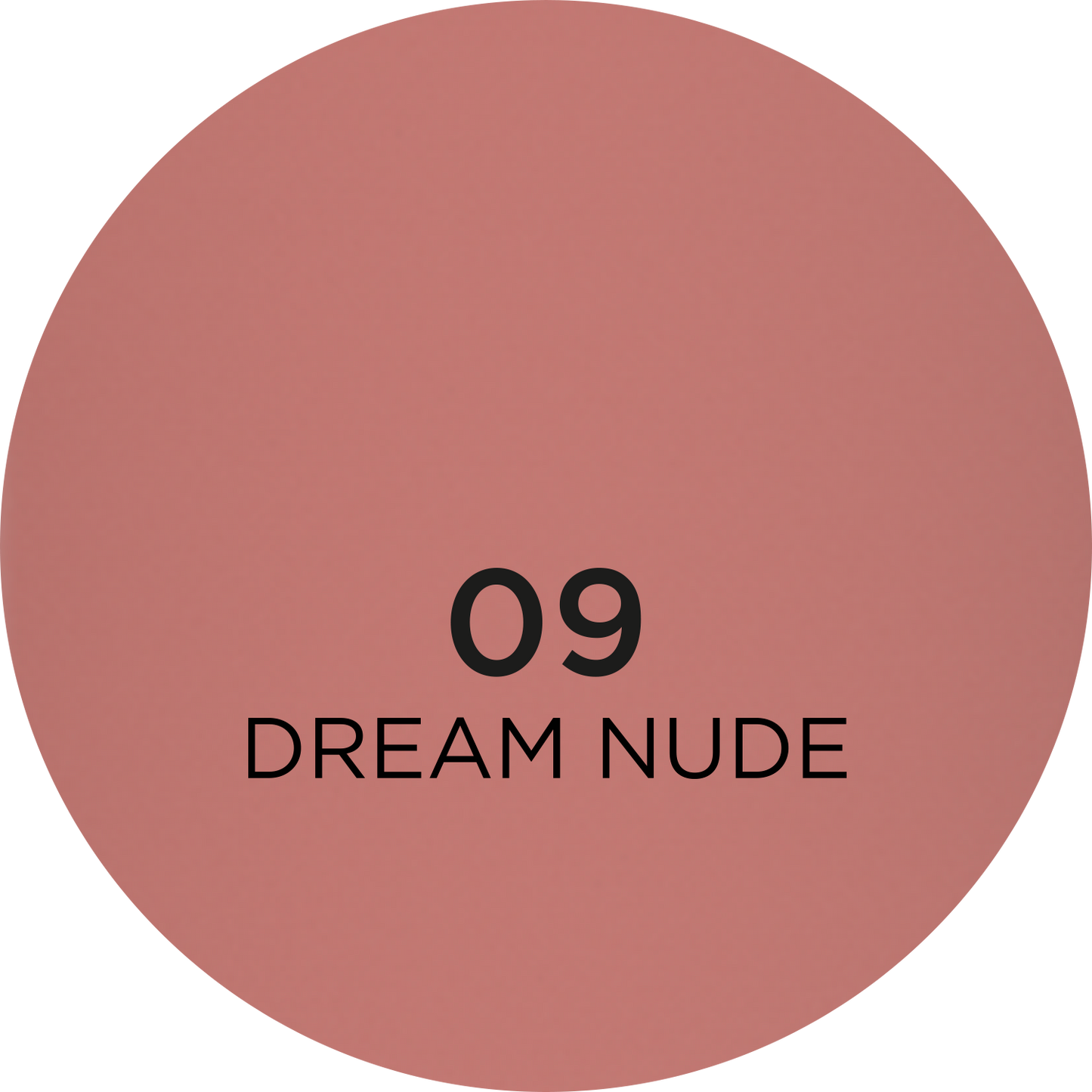 Eveline Cosmetics Wonder Match Liquid Matt Lipstick - 09 DREAM NUDE