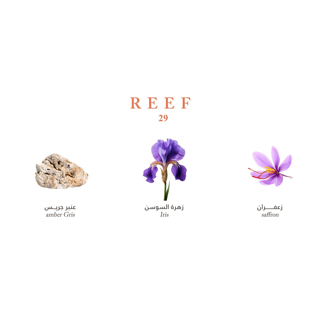 Reef Mini Collection - Elegance and Luxury in Your Pocket - 15ml
