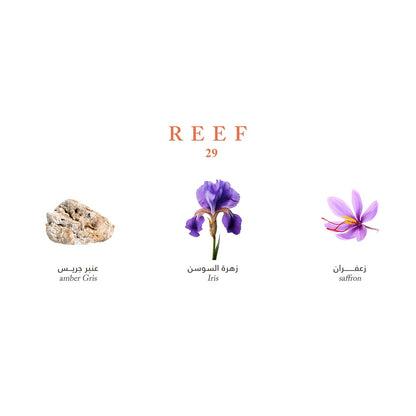 Reef Mini Collection - Elegance and Luxury in Your Pocket - 15ml