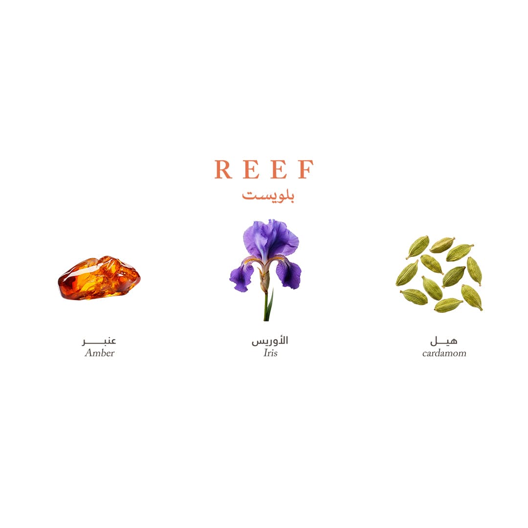 Reef Mini Collection - Elegance and Luxury in Your Pocket - 15ml