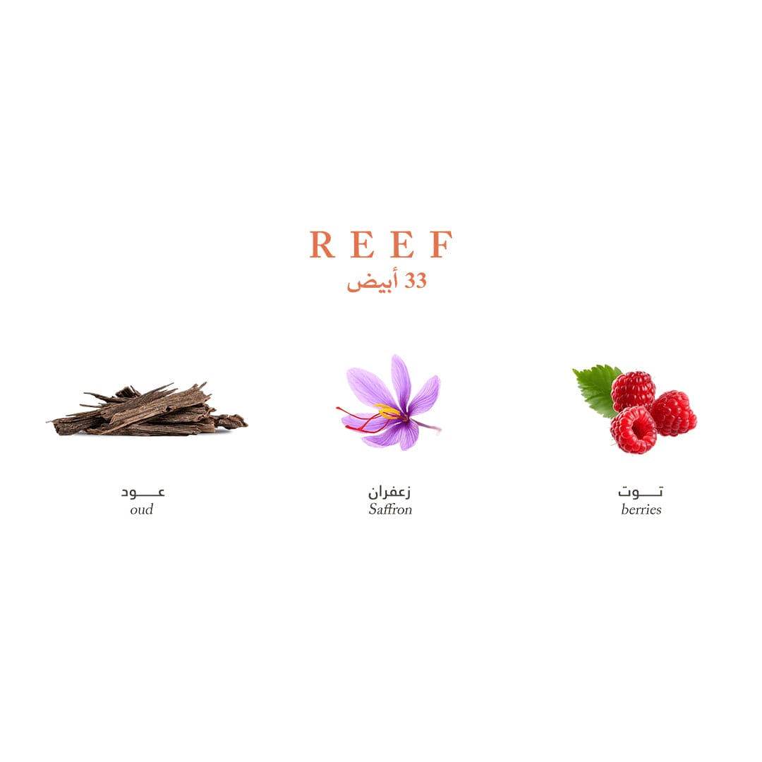 Reef Mini Collection - Elegance and Luxury in Your Pocket - 15ml