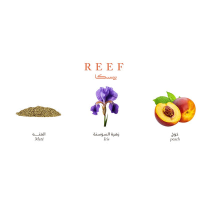 Reef Mini Collection - Elegance and Luxury in Your Pocket - 15ml