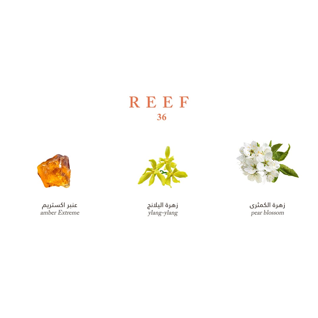 Reef Mini Collection - Elegance and Luxury in Your Pocket - 15ml