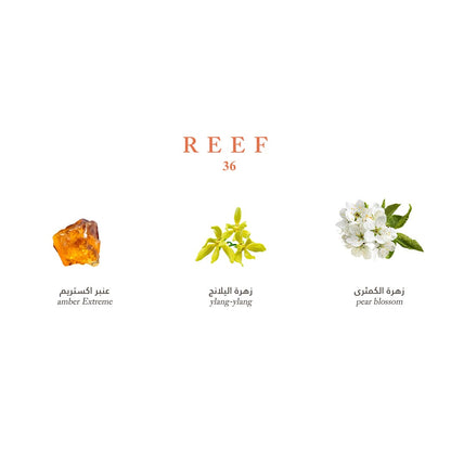 Reef Mini Collection - Elegance and Luxury in Your Pocket - 15ml