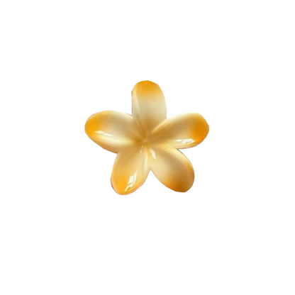 Hawaiian Claw Clips 2.0