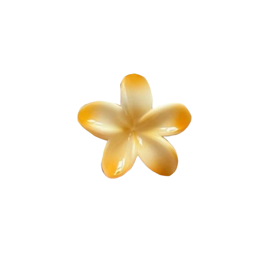 Hawaiian Claw Clips 2.0
