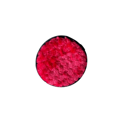 Makeup Cleaning Sponge