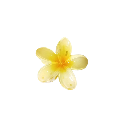 Mini Hawaiian Claw Clip