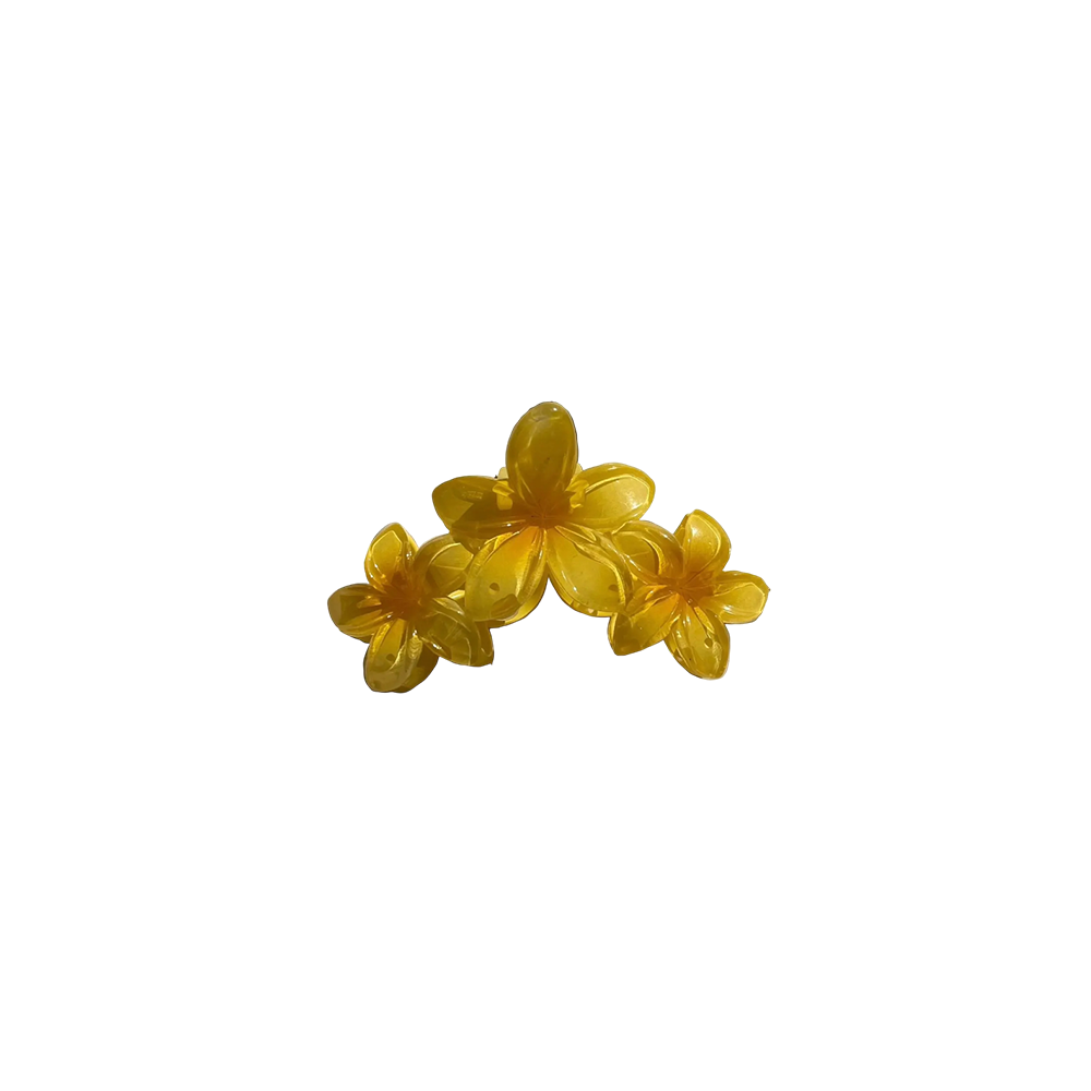Triple Hawaiian Claw Clip