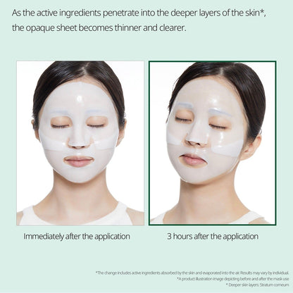 VT Pro Cica Reedle Shot 100 - 2Step Hydrogel Mask