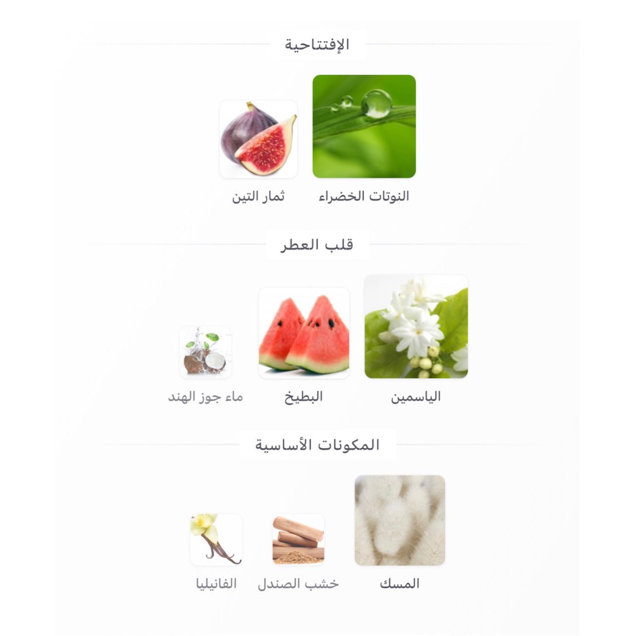 Wadi Al Khaleej Silk Musk Wardi Eau De Parfum - 100ml