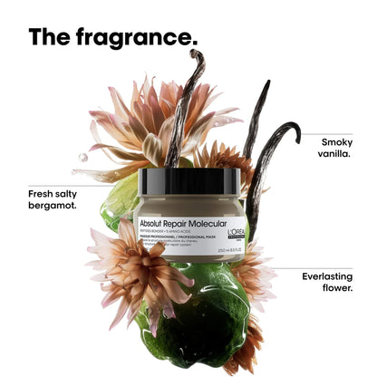 L'Oréal Professionnel Absolut Molecular Mask 250ml