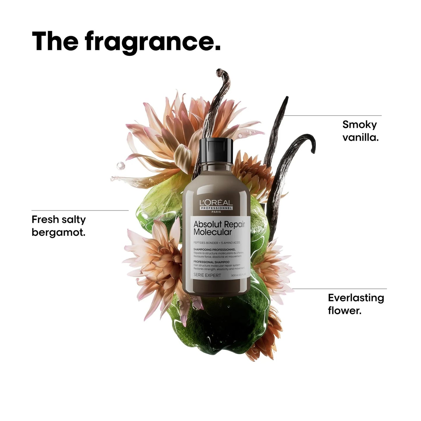 L'Oréal Professionnel Absolut Molecular Shampoo 300ml