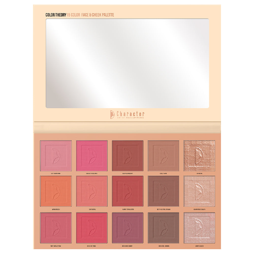 character color theory blush , highlighter contour palette ctf001