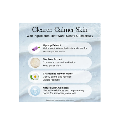 Arencia Hyssop Sebum Control Rice Cake Cleanser