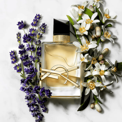 عطر ايف سان لوران ليبر او دو بارفان للنساء